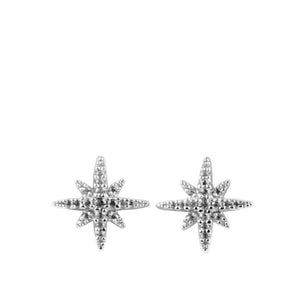 APM Météorites Stud Earrings - Silver #AE8419OX