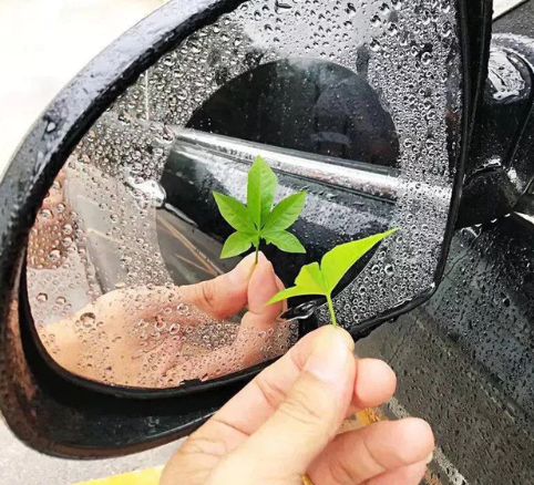 Protective Rearview Mirror Rainproof Film (2pcs/package) - GadgetiCloud
